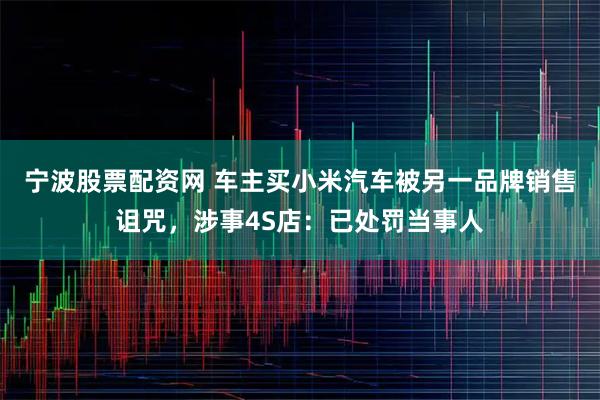 宁波股票配资网 车主买小米汽车被另一品牌销售诅咒，涉事4S店：已处罚当事人